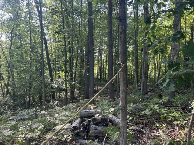 9841 River Road Property Photo 23