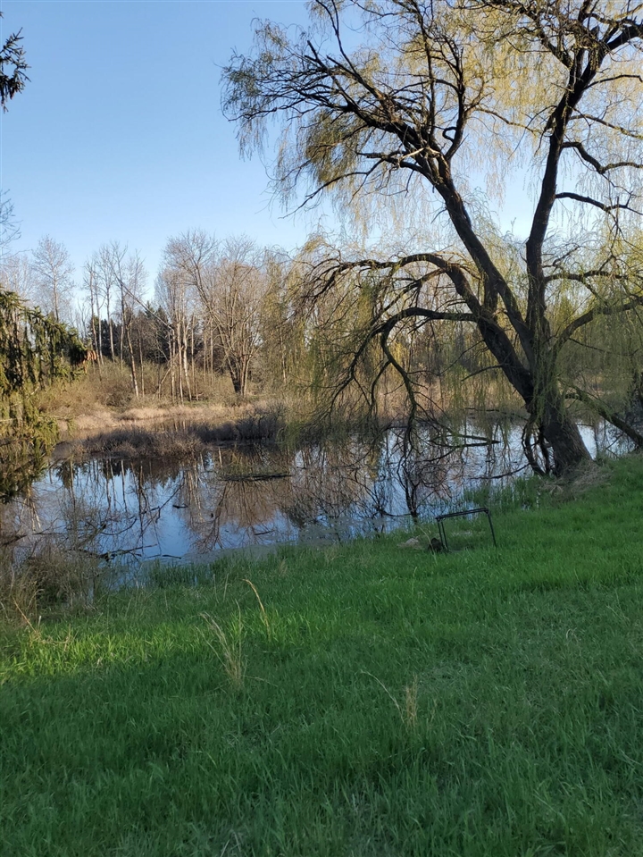 4500 W Howard City-edmore Property Photo 16