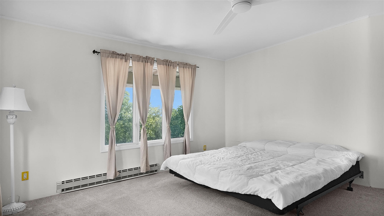 4500 W Howard City-edmore Property Photo 50