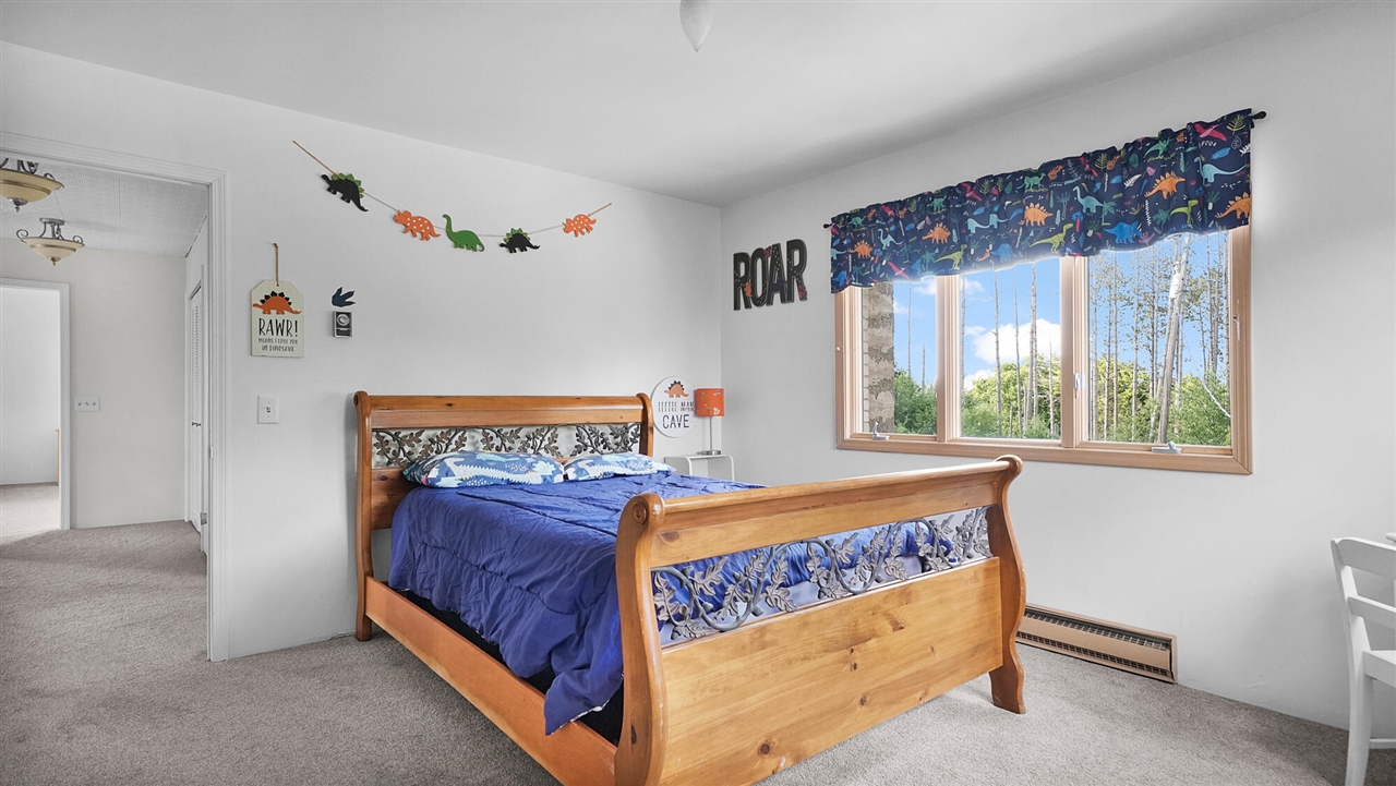 4500 W Howard City-edmore Property Photo 42