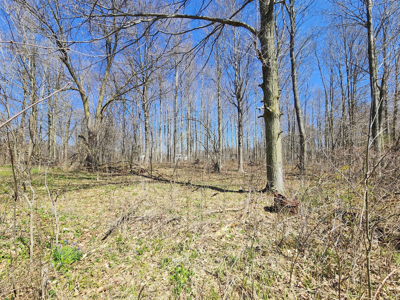 265 W Pearl Road Property Photo 38