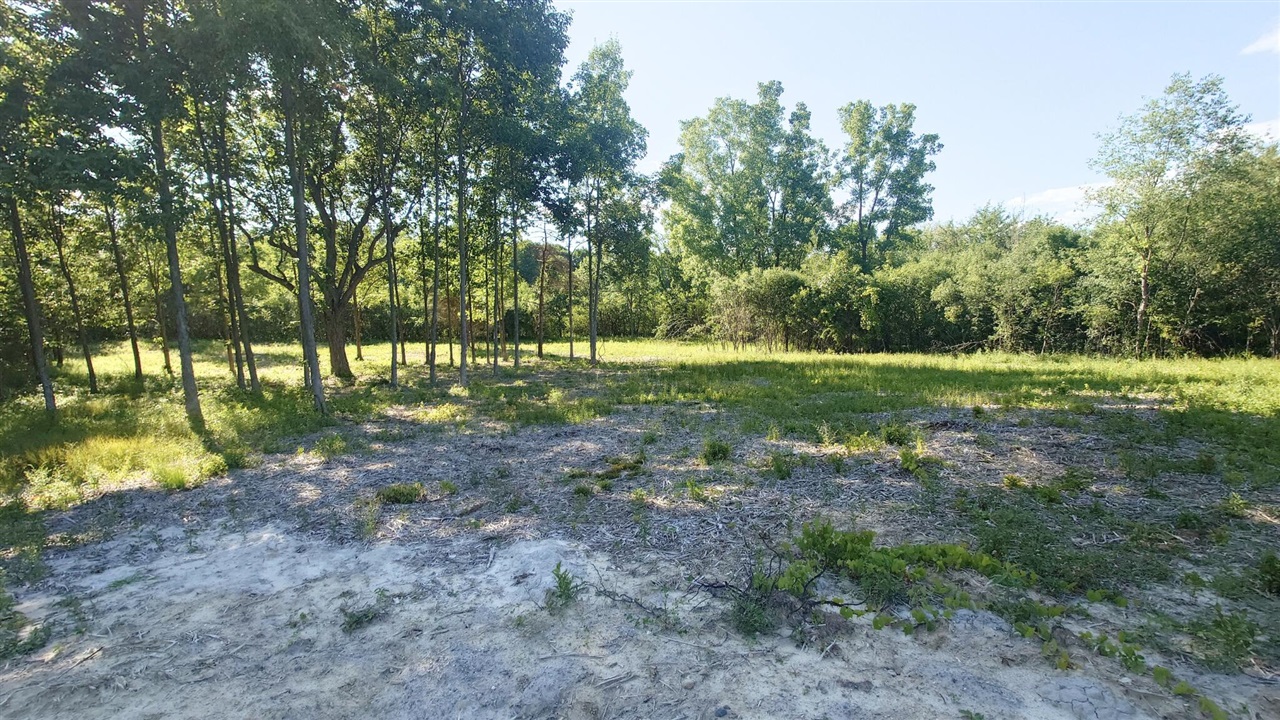 2897 Bateson Court Property Photo 3