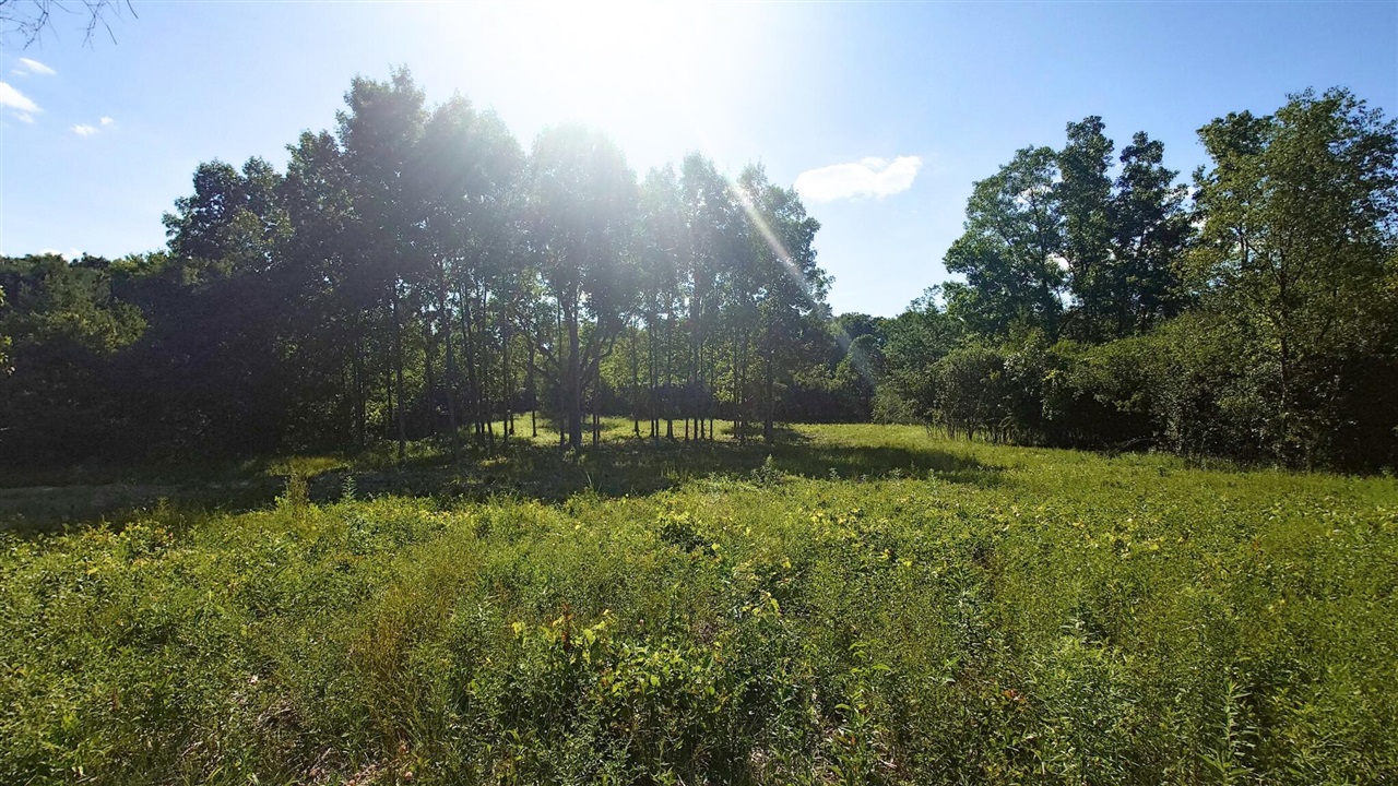 2897 Bateson Court Property Photo 6