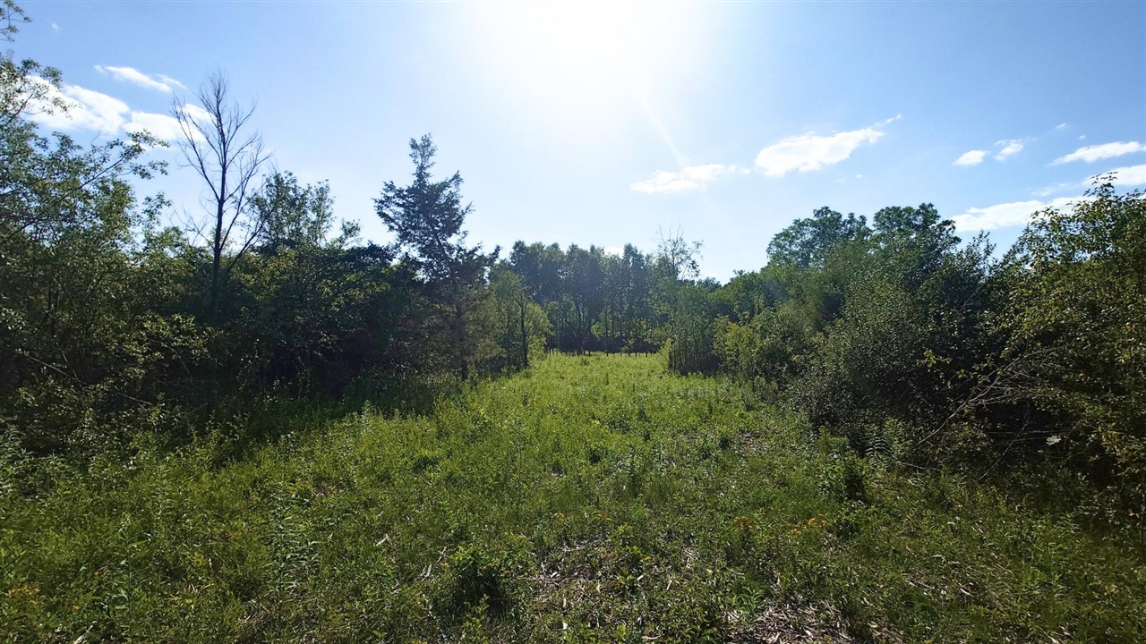 2897 Bateson Court Property Photo 8