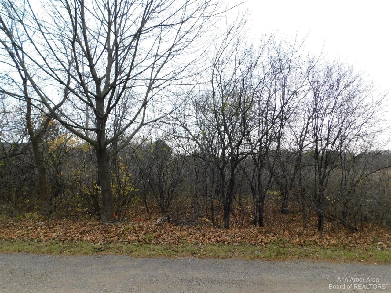 2897 Bateson Court Property Photo 10