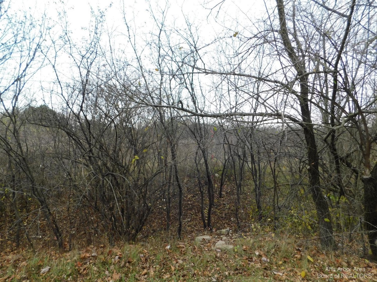 2897 Bateson Court Property Photo 11