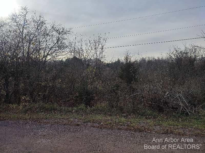 2897 Bateson Court Property Photo 12