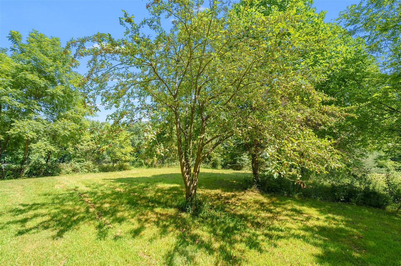 9299 W Avenue Property Photo 59