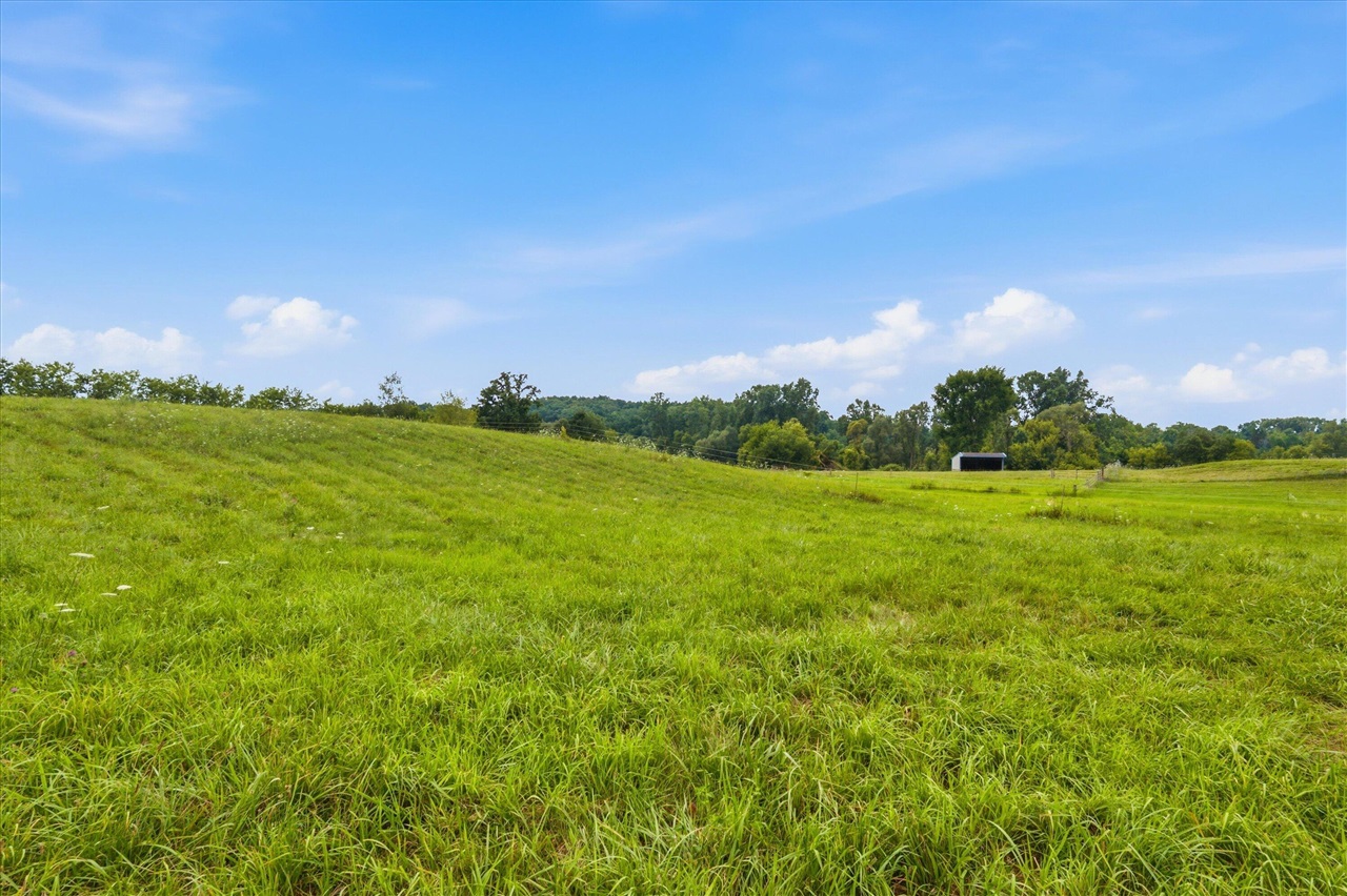 7310 Steinbach Road Property Photo 46