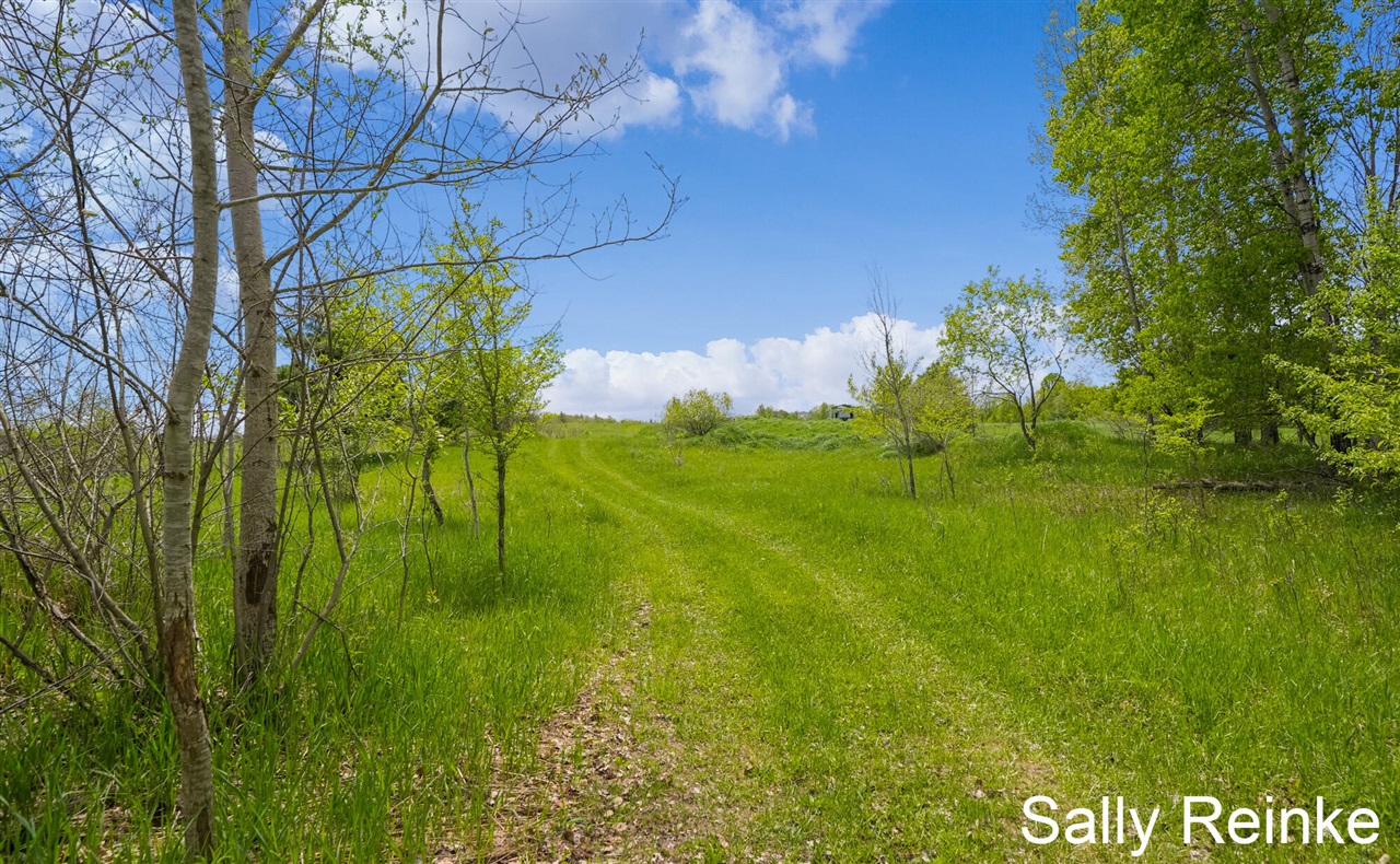 9 Mile Road Property Photo 3