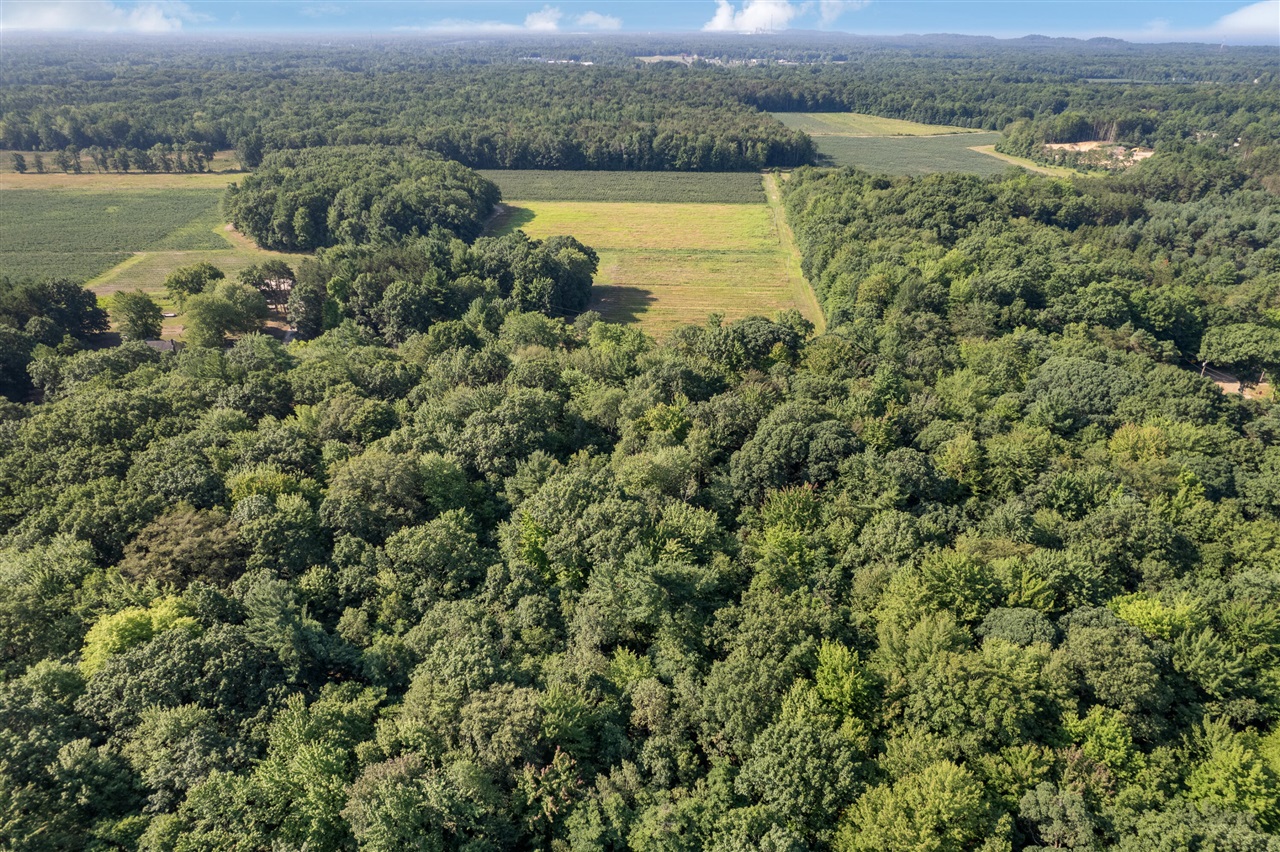 Vl Par A Buchanan Property Photo 6