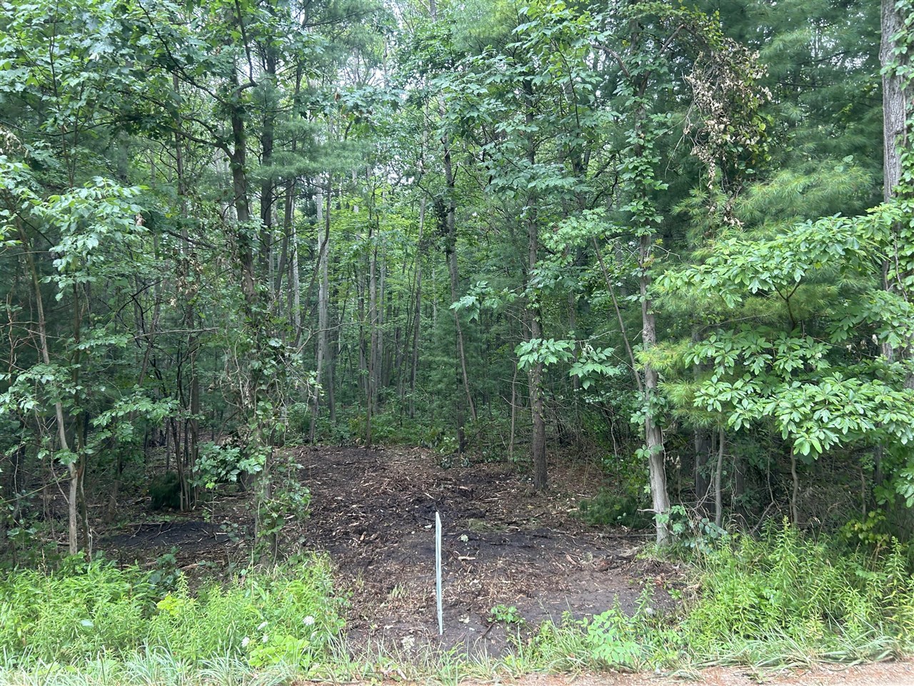 Vl Par A Buchanan Property Photo 8