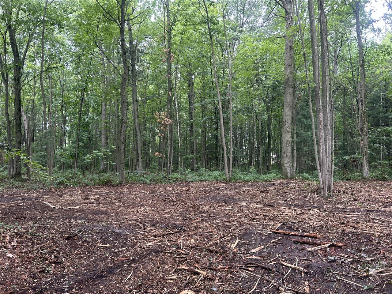 Vl Par A Buchanan Property Photo 10