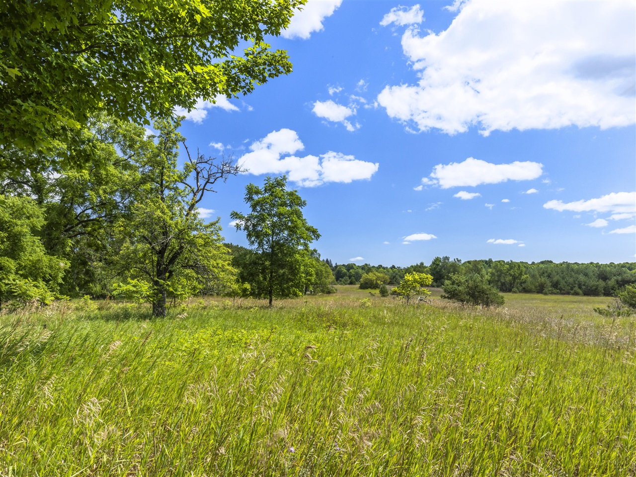 16743 Marilla Road Property Photo 9
