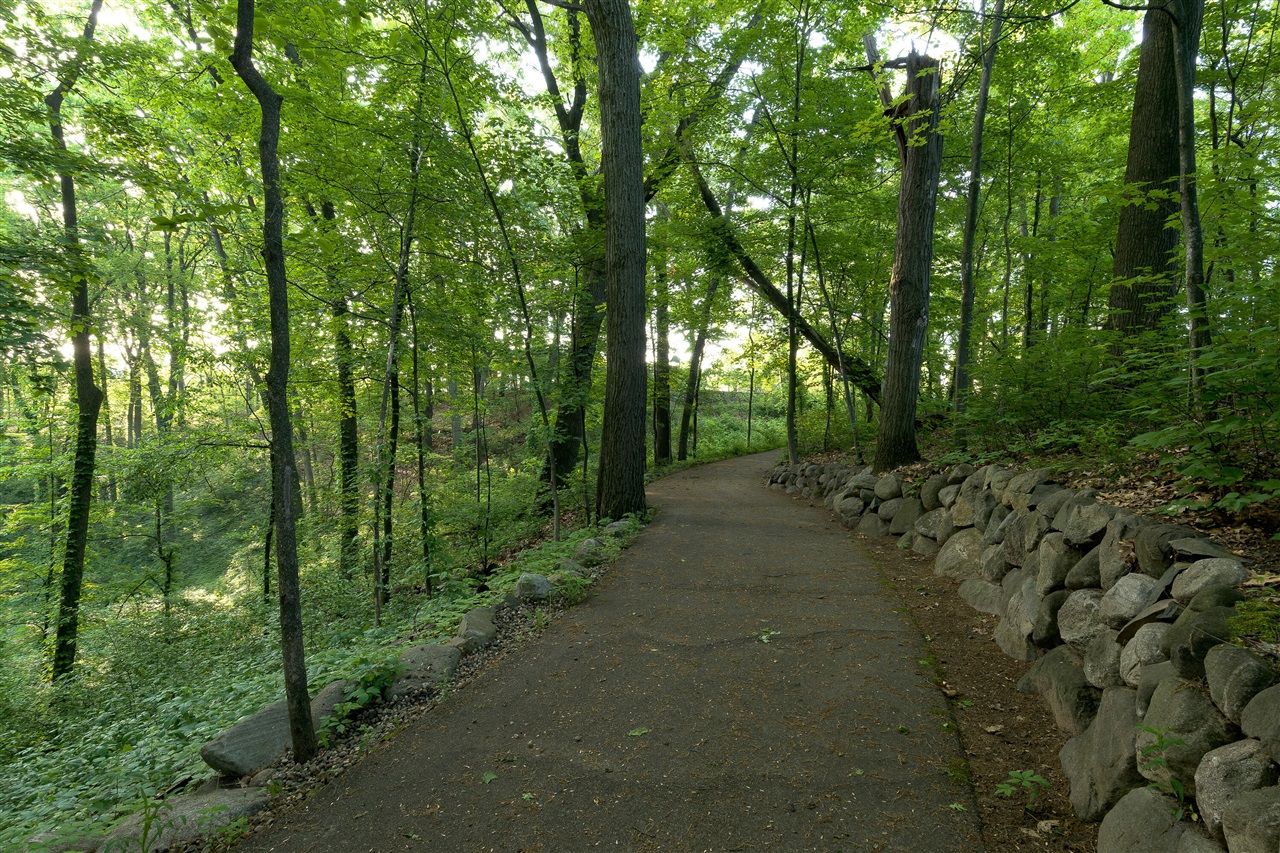 8605 Brighten Trail Property Photo 45