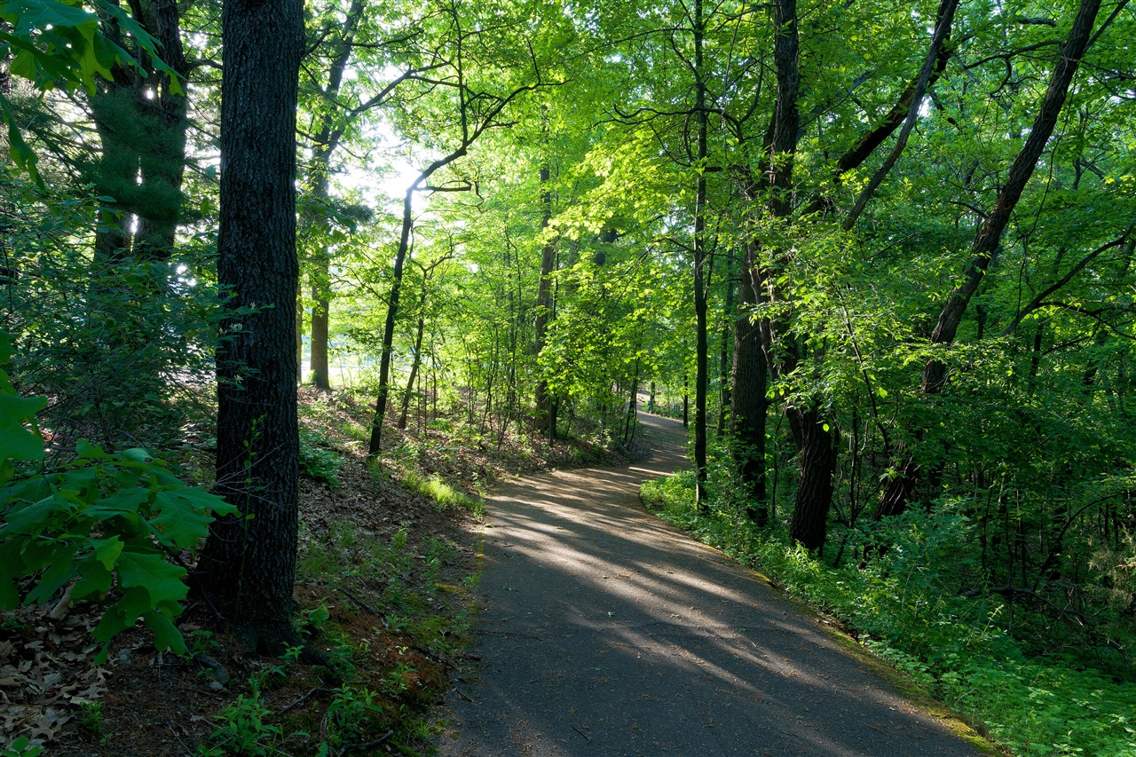 8605 Brighten Trail Property Photo 46