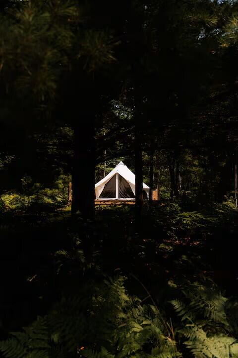 9239 E 8 Mile Road Property Photo 47