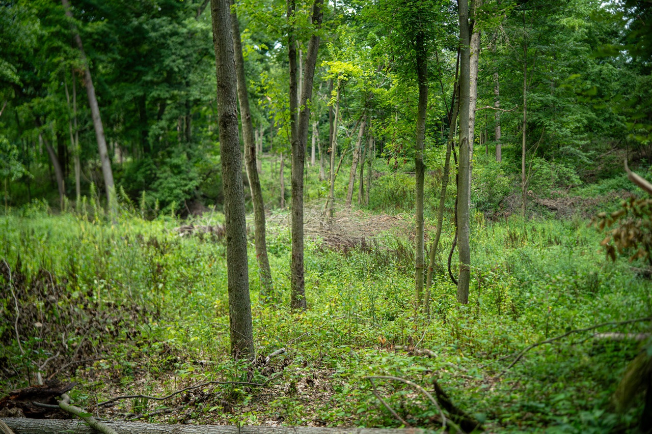 V/l 2000 Ryan Road Property Photo 21