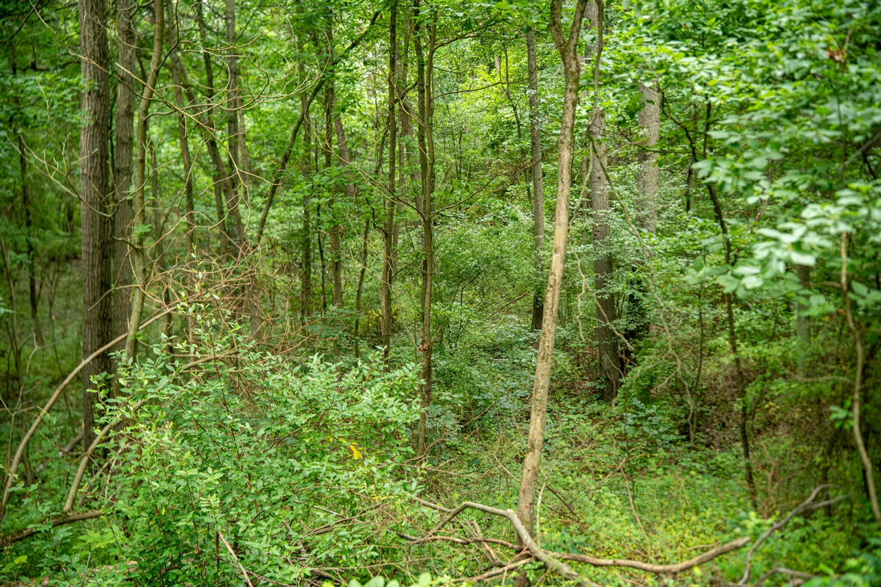 V/l 2000 Ryan Road Property Photo 31