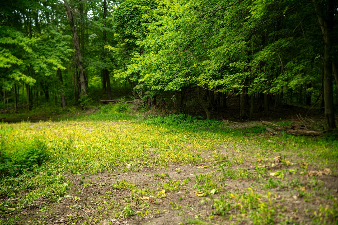 V/l 2000 Ryan Road Property Photo 32
