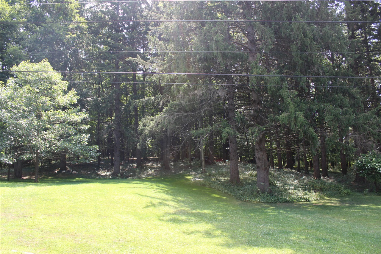3444 E Pineview Drive Property Photo 28