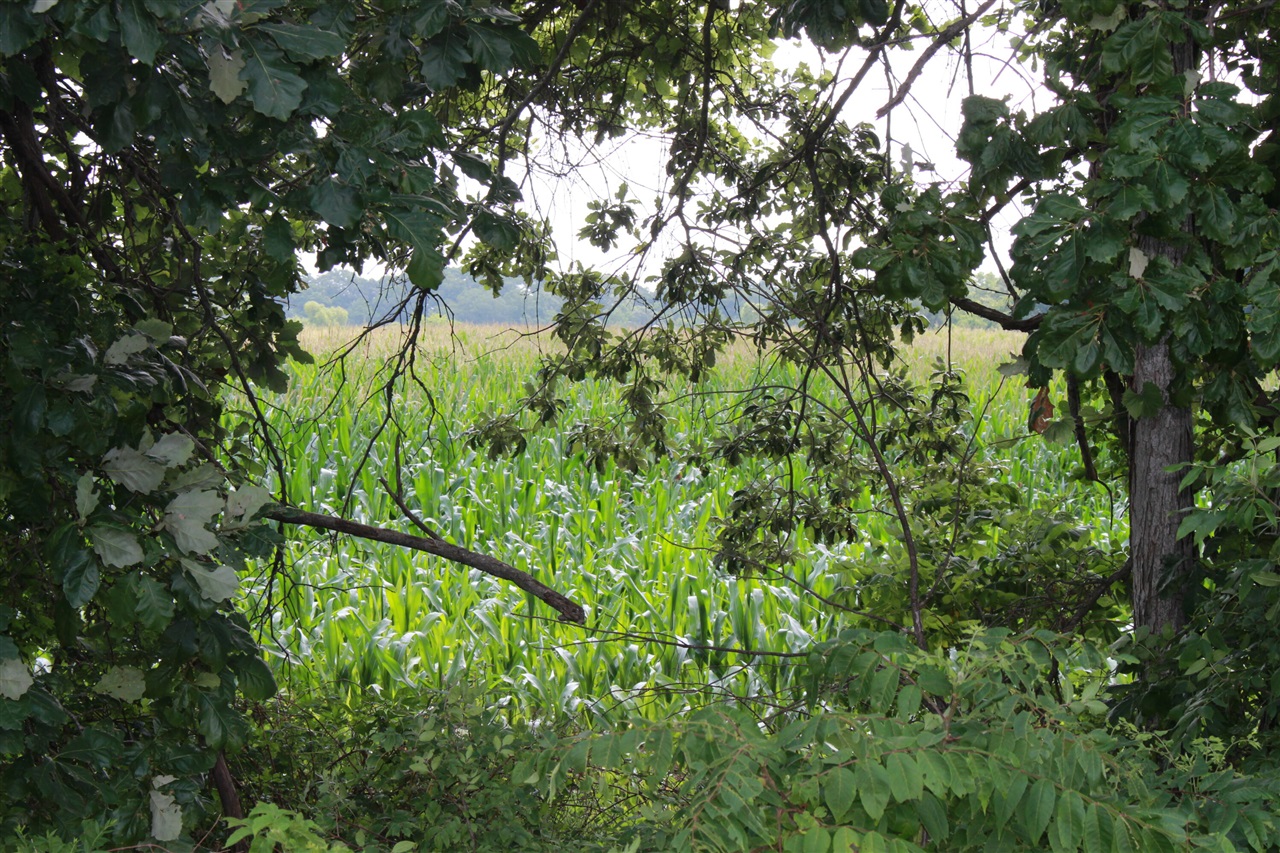 P Drive S (parcel 4) Property Photo 5