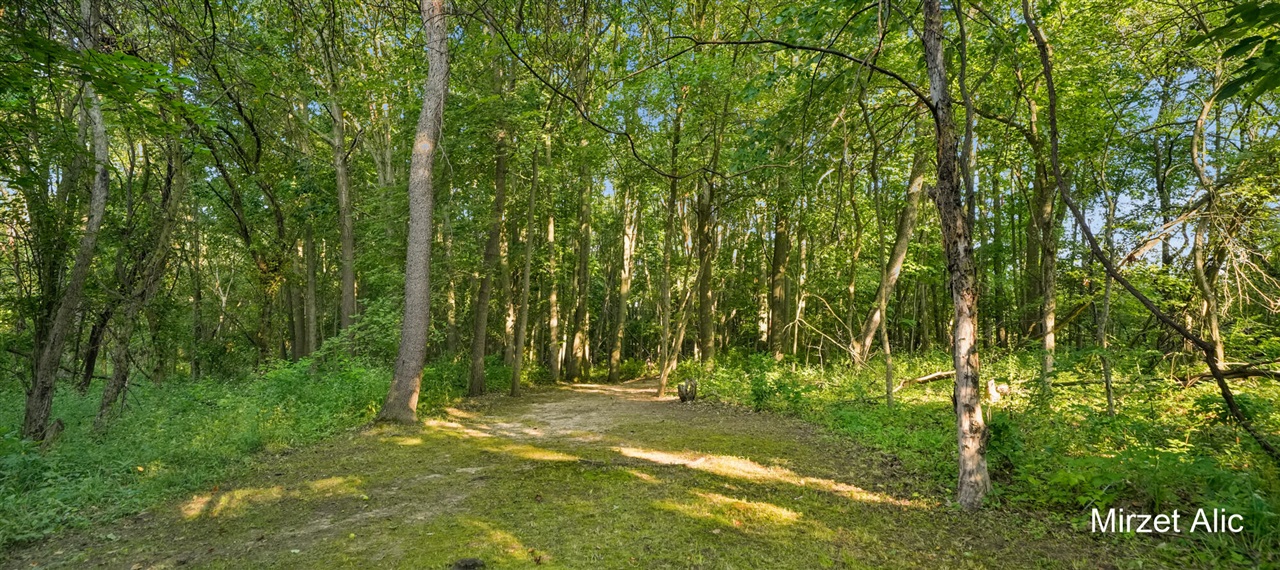 5220 Canyon River Drive Property Photo 64