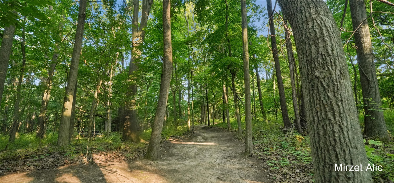 5220 Canyon River Drive Property Photo 65