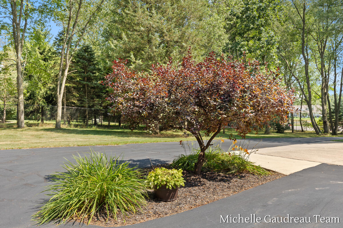 6244 Black Creek Drive Property Photo 43