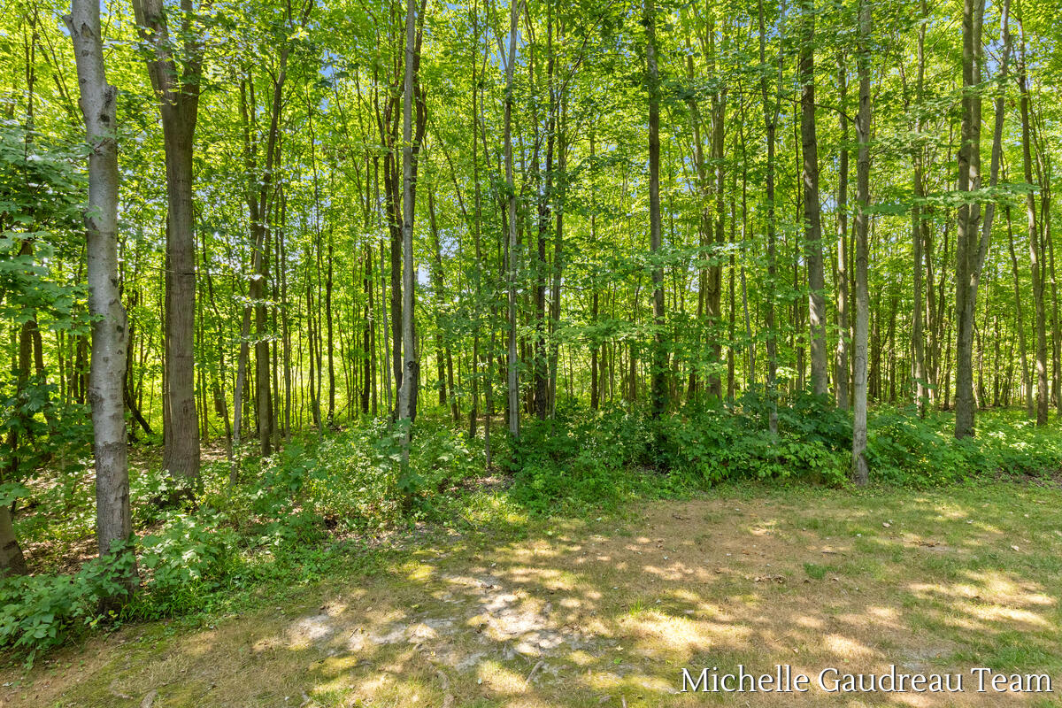 6244 Black Creek Drive Property Photo 61