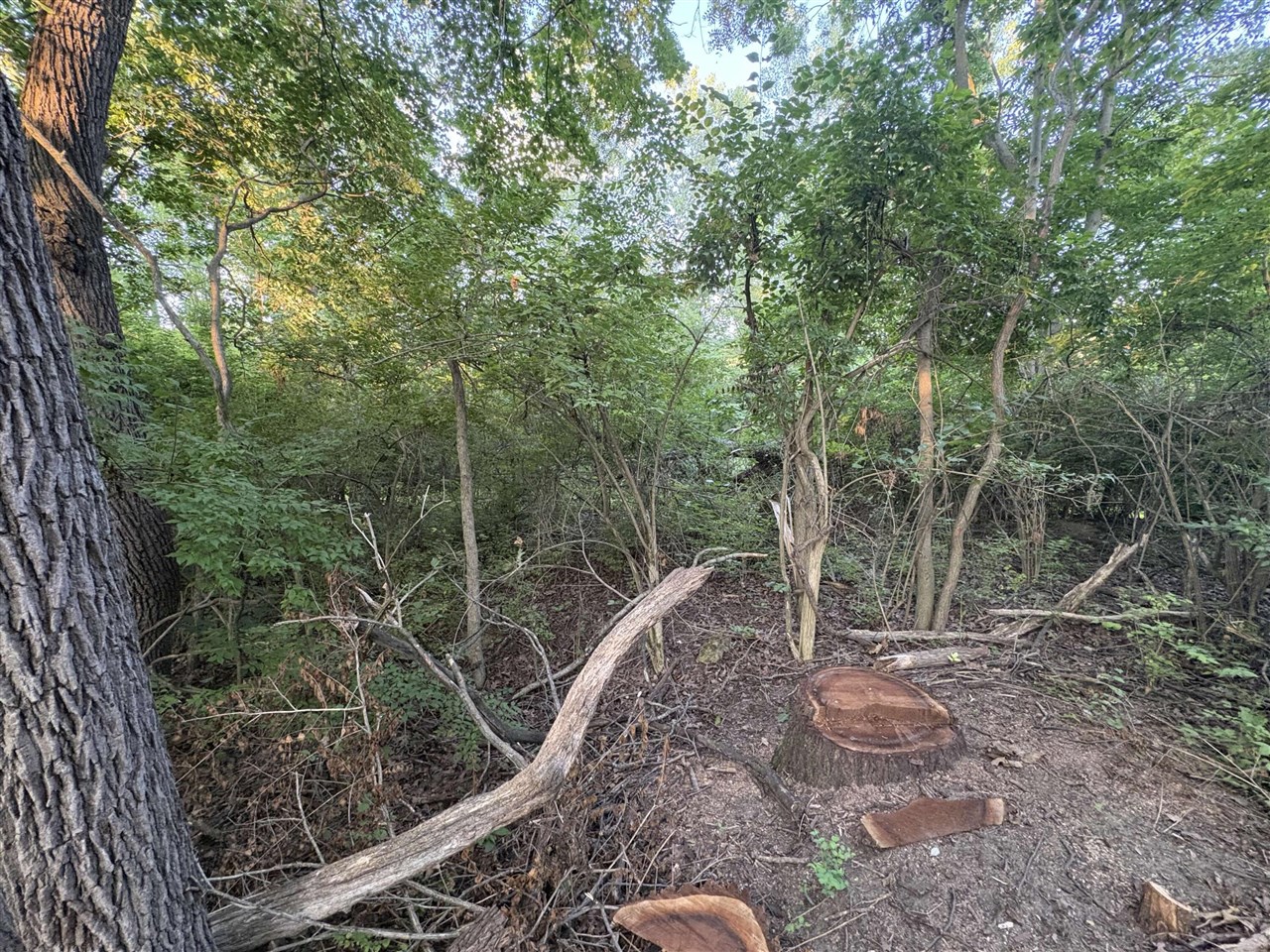 1503 Echo Valley Drive Property Photo 3