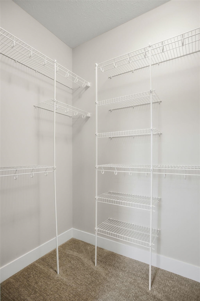 11665 Cherrybud Drive Property Photo 34