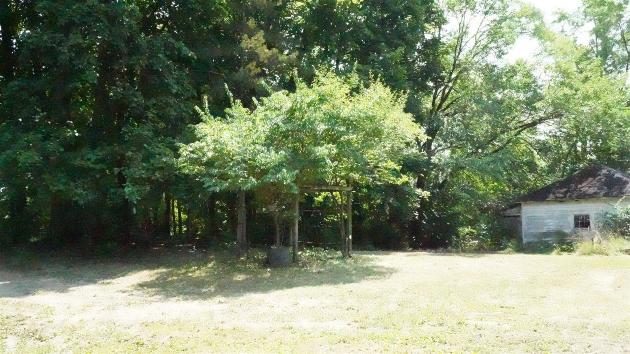 433 E South Street Property Photo 4