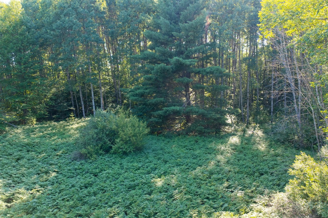 36 N Coe Road Property Photo 7