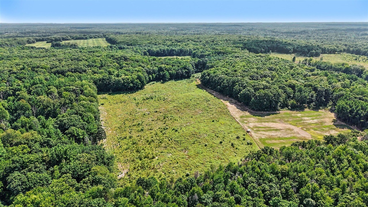 Lot 1 E Bear Paw Drive Property Photo 1