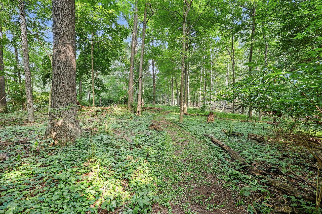 215 Wickenham Drive Property Photo 29