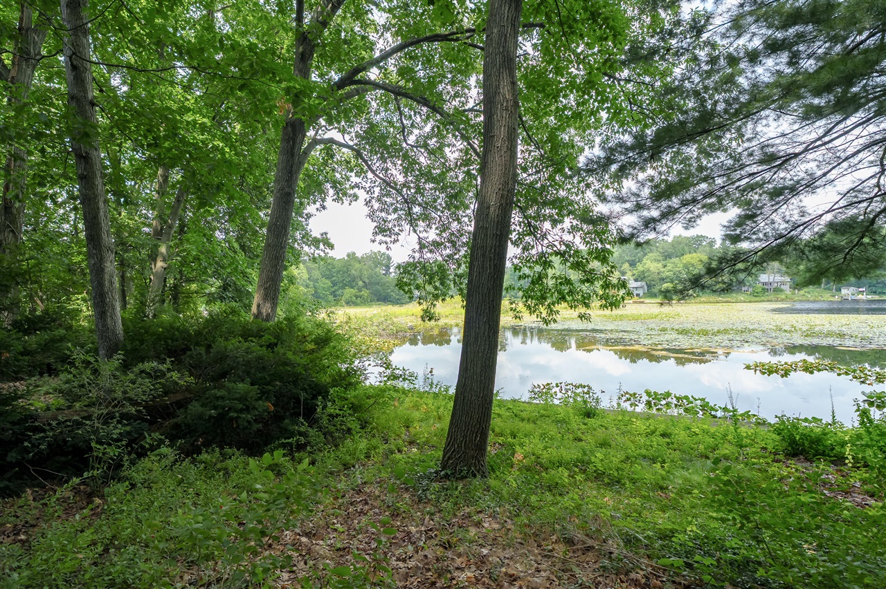 9856 Oak Forest Circle Property Photo 33