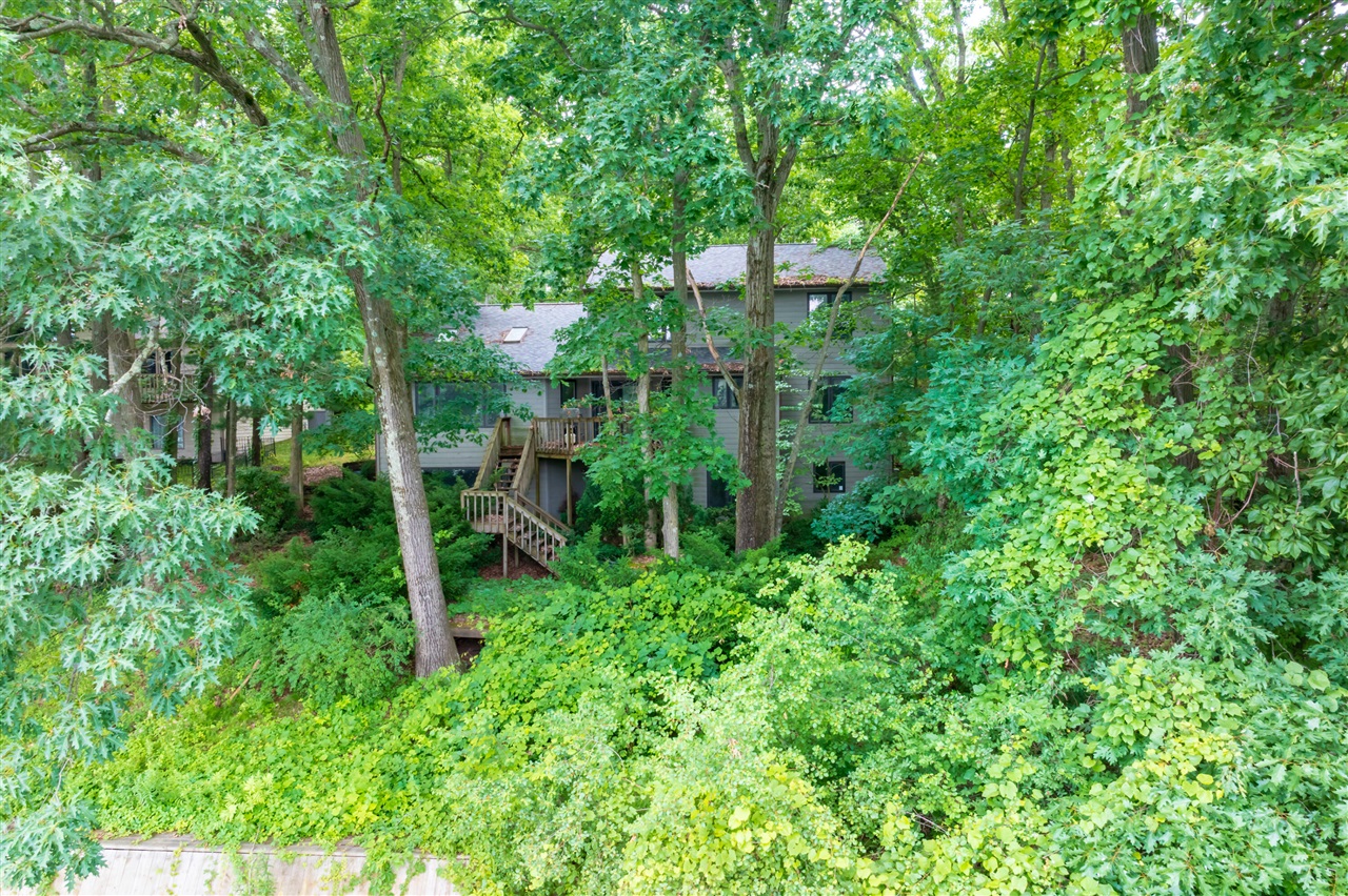 9856 Oak Forest Circle Property Photo 49