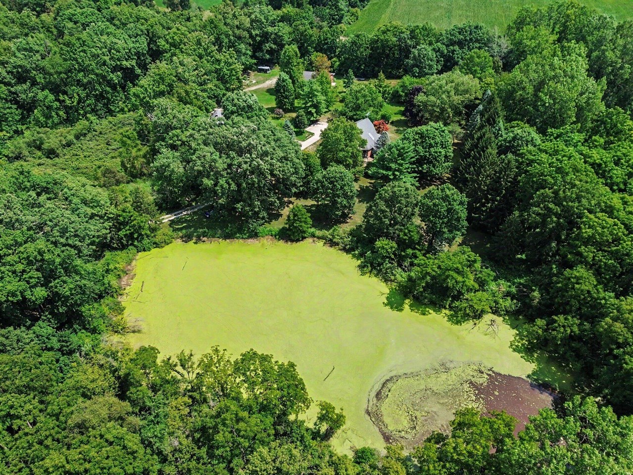 10599 Fleming Road Property Photo 42