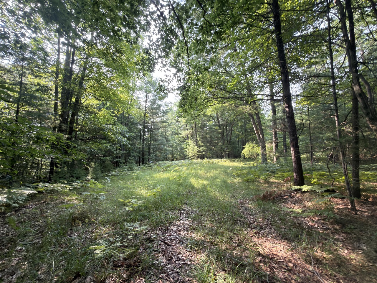 Us-31 Property Photo 16