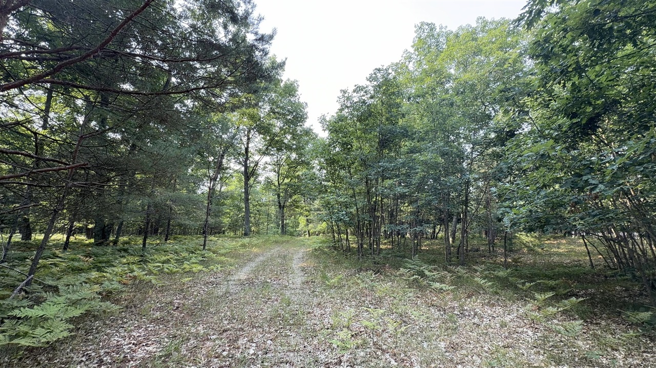 Us-31 Property Photo 17