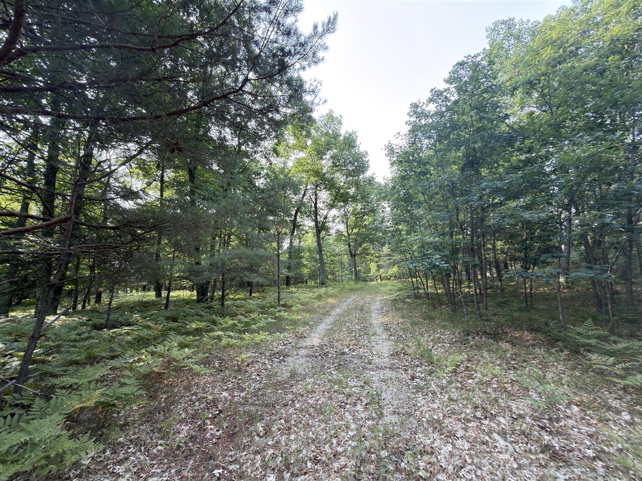 Us-31 Property Photo 18