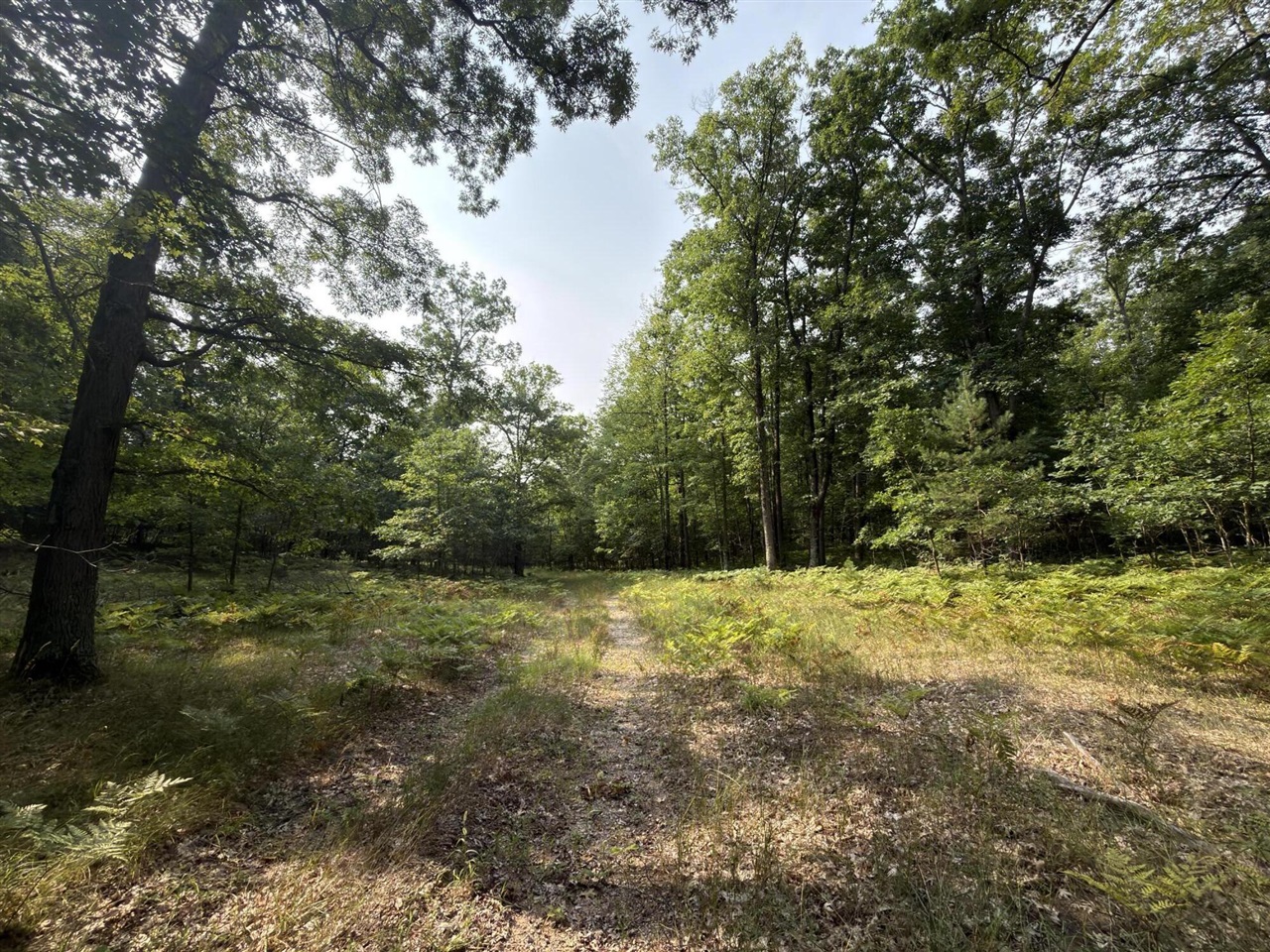 Us-31 Property Photo 19