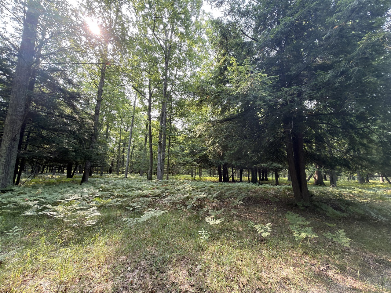 Us-31 Property Photo 22