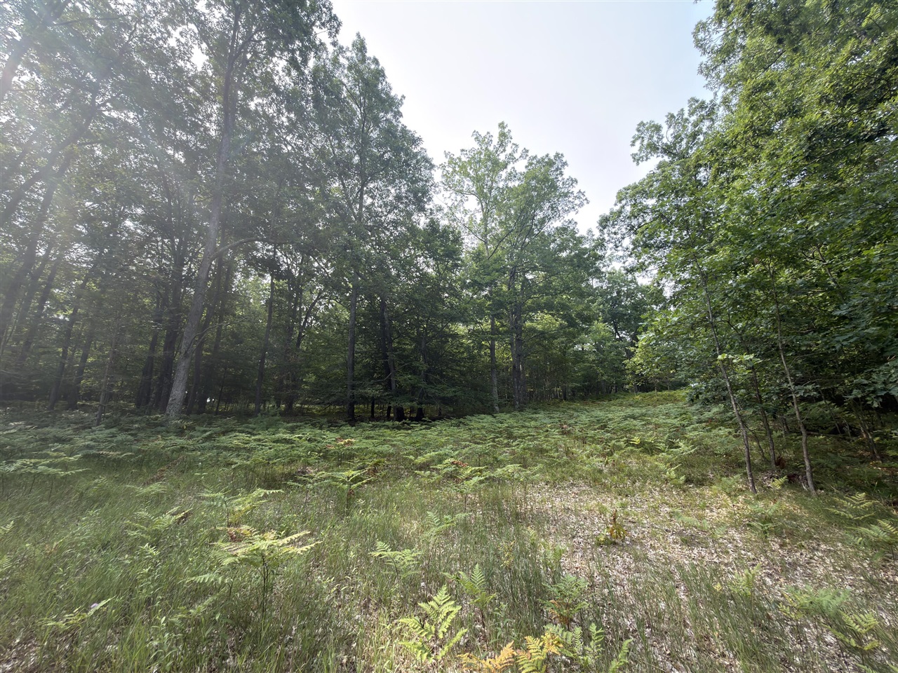 Us-31 Property Photo 23