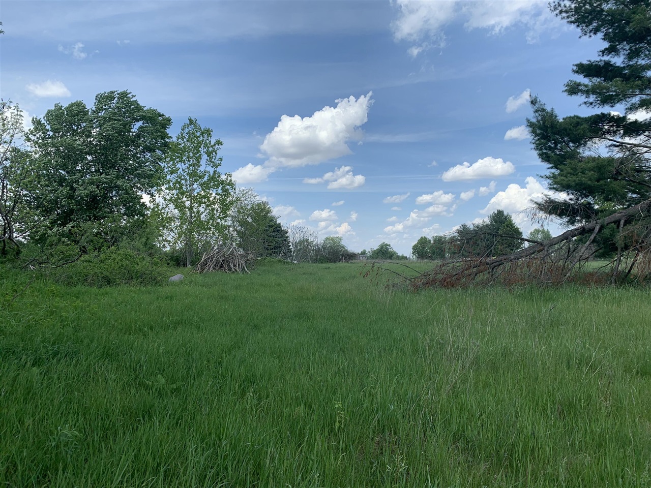 Brink Road Property Photo 3