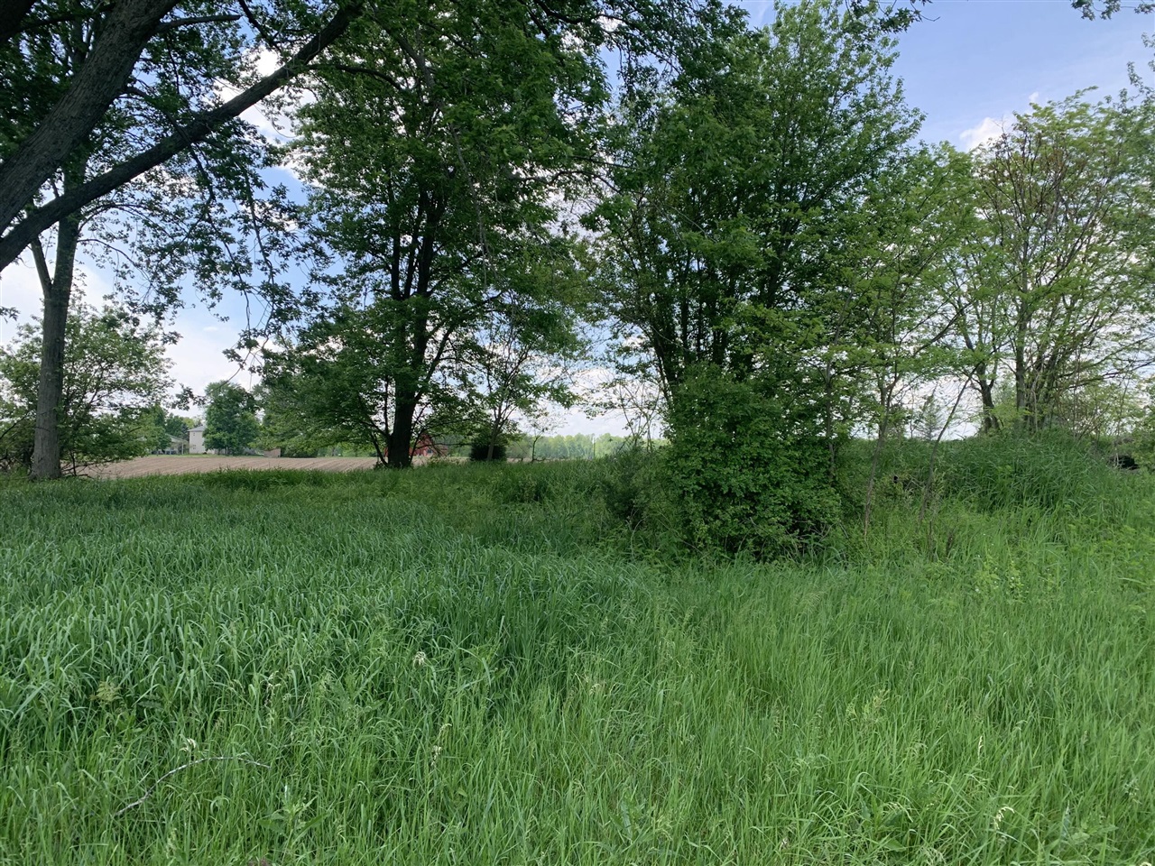 Brink Road Property Photo 4