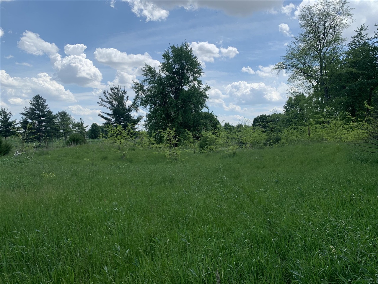 Brink Road Property Photo 5