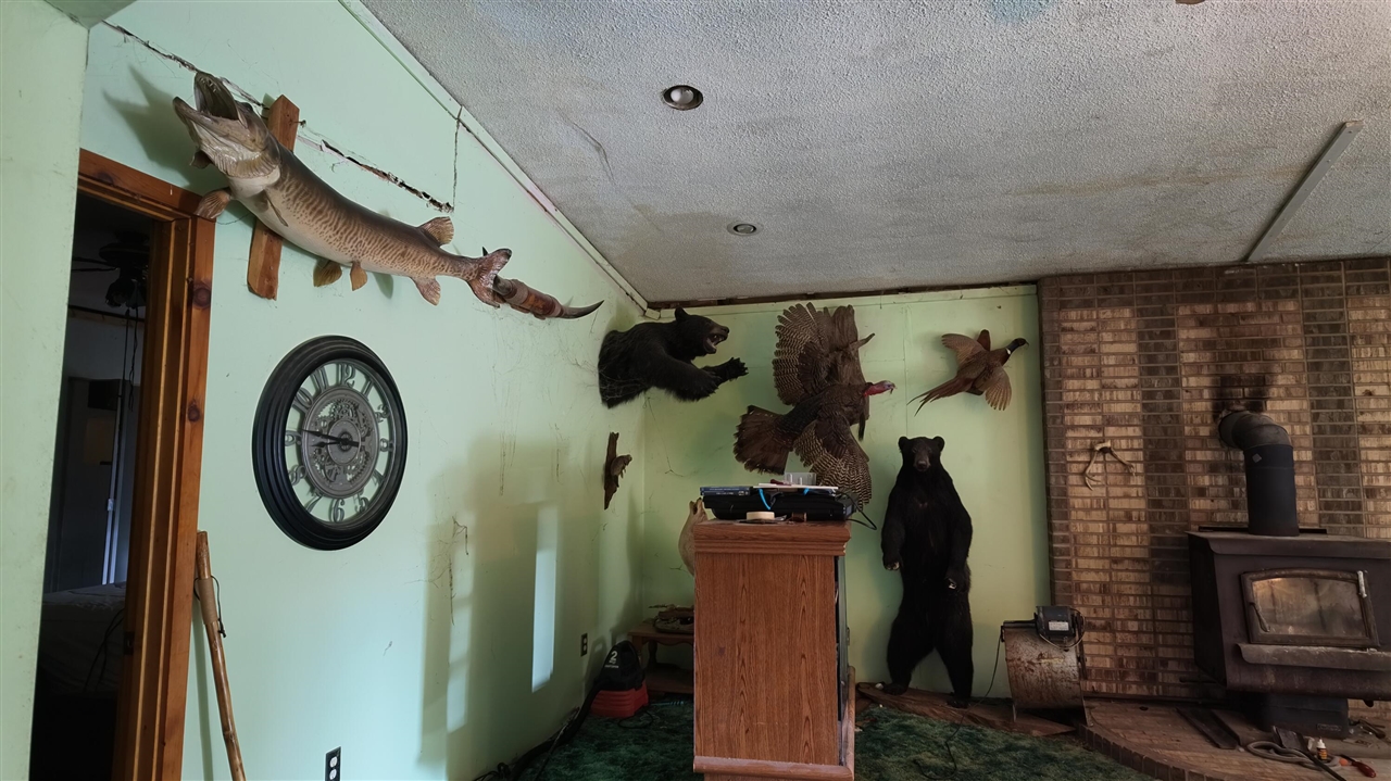 1215 Dale Road Property Photo 5