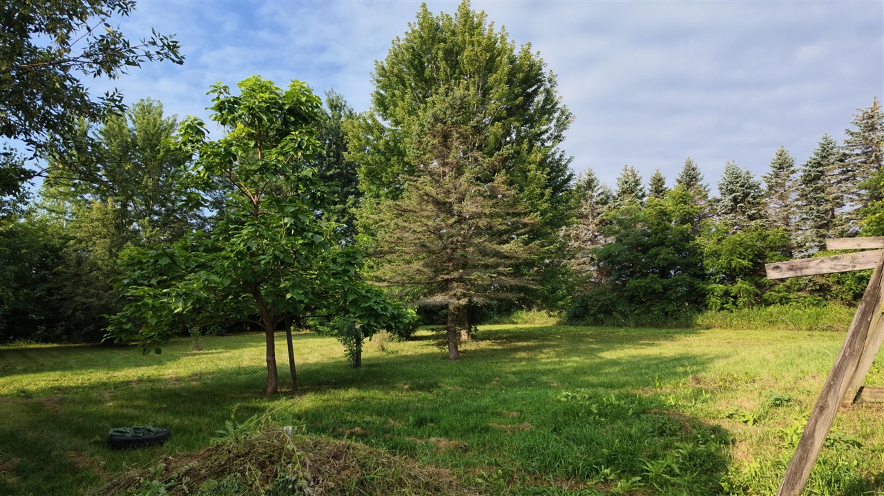 1215 Dale Road Property Photo 12